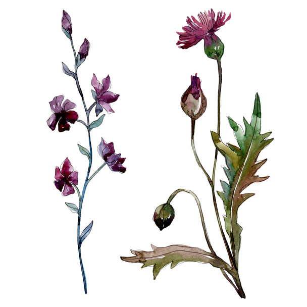 Wildflowers floral botanical flowers. Watercolor background illustration set. Isolated flowers illustration element. - Photo, Image