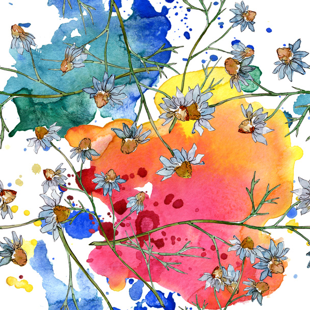 Wildflowers floral botanical flowers. Wild spring leaf wildflower. Watercolor illustration set. Watercolour drawing fashion aquarelle. Seamless background pattern. Fabric wallpaper print texture. - Φωτογραφία, εικόνα