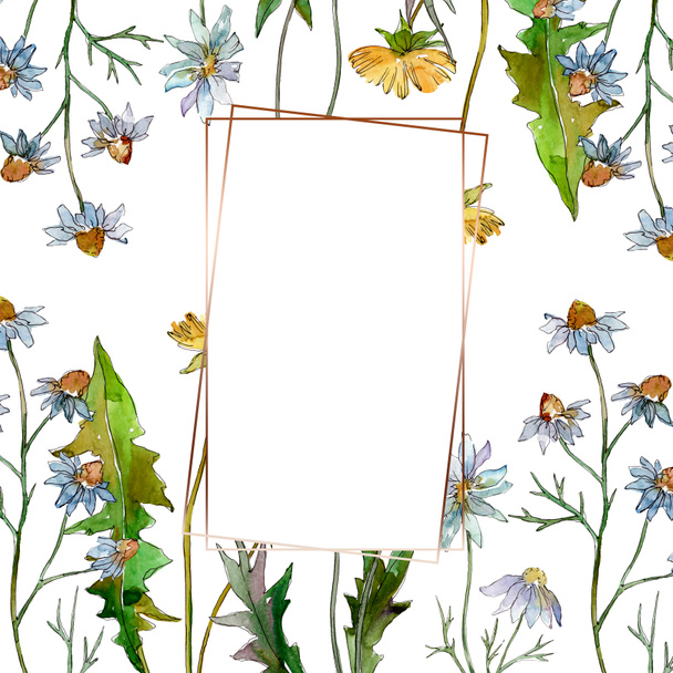Wildflowers floral botanical flowers. Wild spring leaf wildflower isolated. Watercolor background illustration set. Watercolour drawing fashion aquarelle isolated. Frame border ornament square. - Foto, afbeelding