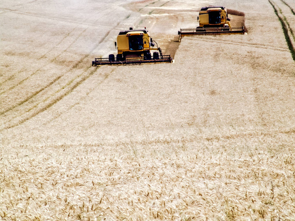 Combine harvester on a wheat field in Brazil - Photo, Image