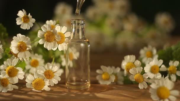 Esencja kwiatów na stole w pięknej szklanej butelce - Materiał filmowy, wideo