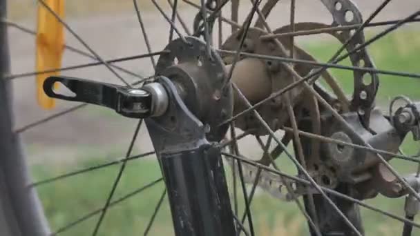 The girl broke the wheel of the bike. Bicycle repair. The cyclist is repairing the bicycle. Hole in the wheel. - Footage, Video