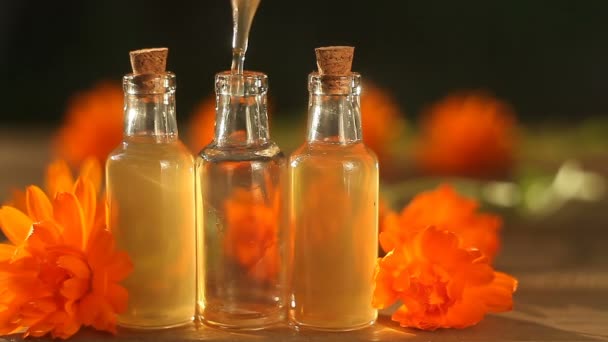 Güzel cam şişe masada calendula çiçek özü - Video, Çekim