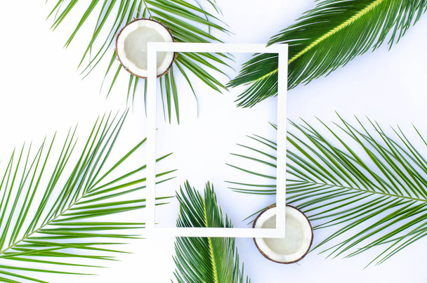 Tropická světelná pozadí s rám, kokosové ořechy a palmové větve. - Fotografie, Obrázek