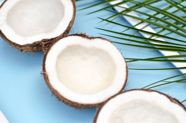 Morceaux de noix de coco sur un fond bleu avec des branches de palmier
.  - Photo, image