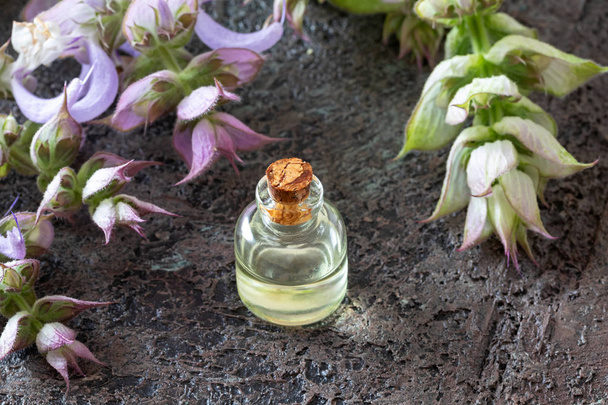 クラリーセージエッセンシャルオイルと新鮮な植物のボトル - 写真・画像