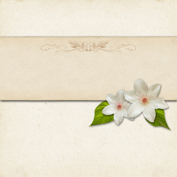Vintage background design with flowers - Foto, immagini