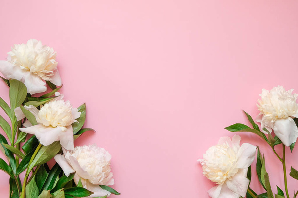 Marco de flores con ramas frescas de pionia blanca sobre fondo rosa con espacio para copiar, vista superior, disposición plana
. - Foto, Imagen