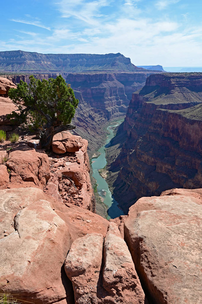 Colorado River von Toroweap Blick in den Grand Canyon. - Foto, Bild