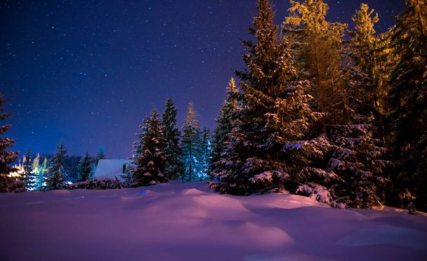 Beautiful winter night landscape - Foto, afbeelding