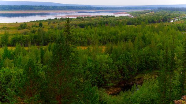 Árboles y arbustos crecidos desde la orilla norte del río Vilyui en el horizonte. Tundra de Yakutia en el otoño
. - Foto, Imagen