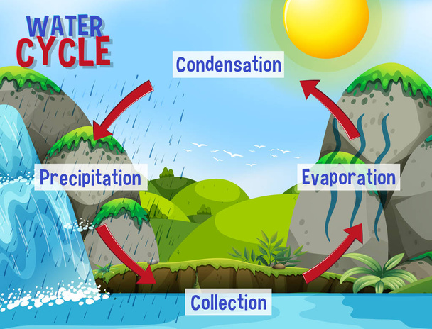 Proces vodního cyklu na zemi-vědecký - Vektor, obrázek