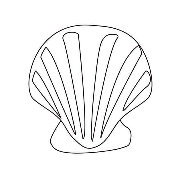 scallop sea shell on white background - Vector, Image