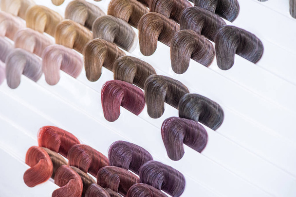Tableau des couleurs des cheveux. Palette d'échantillons de cheveux teints brillants. Catalogue pour
 - Photo, image