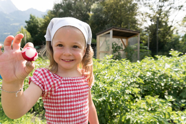 χαριτωμένο νεαρό κορίτσι τρώει ένα ραπανάκι που μόλις συγκομίζεται στο φυτό της - Φωτογραφία, εικόνα