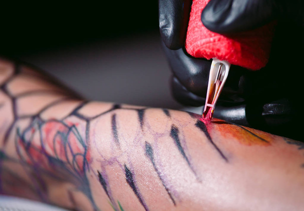 Professional tattoo artist makes a tattoo on a young girls hand. - Fotó, kép