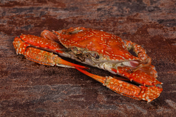 Boiled crab - ready for eat - Zdjęcie, obraz