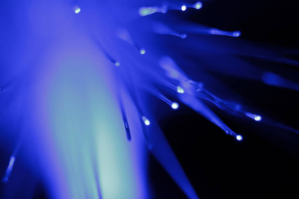 Abstract view of Optical Fibers of blue color - Foto, Imagem