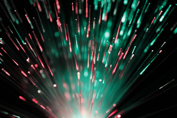 Bundle of optic fibers in red and green light - Photo, Image