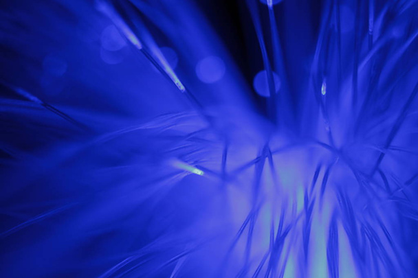 Abstract view of Optical Fibers of blue color - 写真・画像