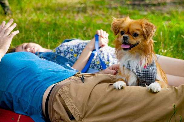 Young couple enjoying with a dog in a city park. Lifestyle, happy family resting at a picnic. - Photo, Image