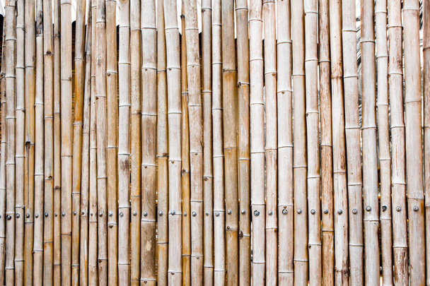 Recinzione di bambù di sfondo
. - Foto, immagini