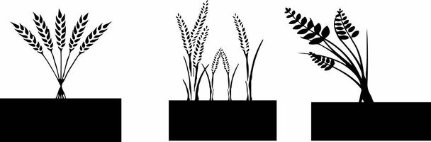 Beyaz arka plan buğday simgesini - Vektör, Görsel
