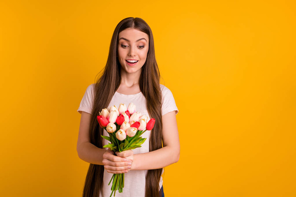 Close up photo beautiful amazing her she lady very long hair hands fresh flowers white red tulips surprise holiday anniversary party wife wear casual pastel t-shirt isolated bright yellow background - Фото, зображення