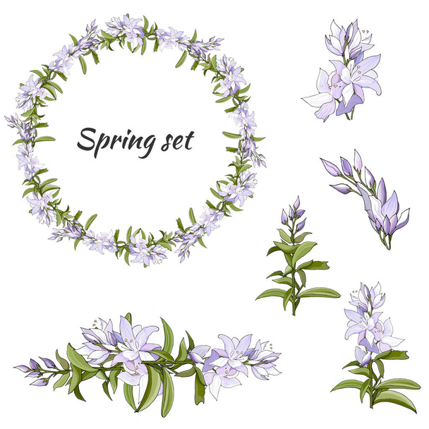 Frühjahrsset mit floralen Mustern, Ornamenten und Vektor-Kränzen aus zarten violetten Blumen zum Dekorieren von Karten, Design-Grüßen - Vektor, Bild