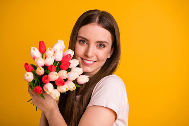 Close up photo beautiful amazing her she lady very long hairstyle hands fresh flowers white red tulips surprise holiday birthday party wear casual pastel t-shirt isolated bright yellow background - Zdjęcie, obraz