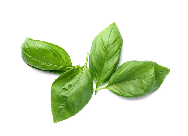 Fresh basil leaves on white background - Фото, изображение