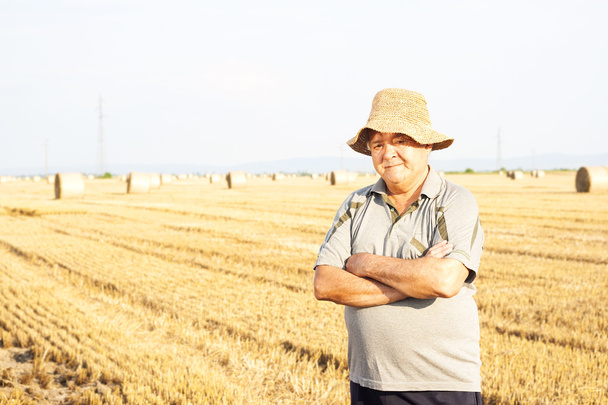 щасливий фермер на полях
 - Фото, зображення