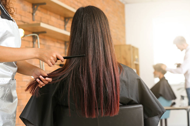 Professional hairdresser cutting client's hair in beauty salon - Foto, Imagen
