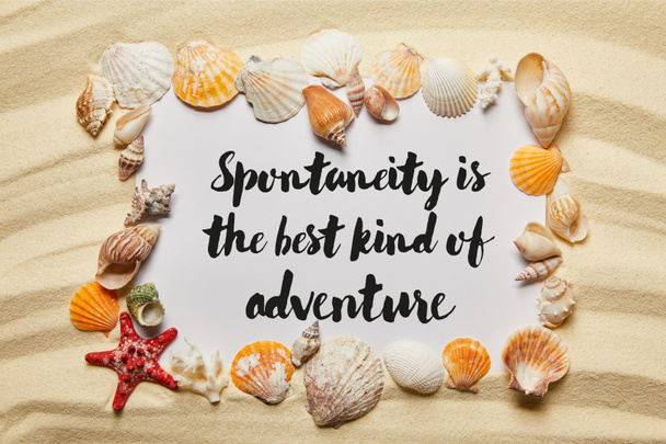 Muschelrahmen in der Nähe von Plakat mit Spontaneität ist die beste Art von Abenteuer Illustration am Sandstrand - Foto, Bild