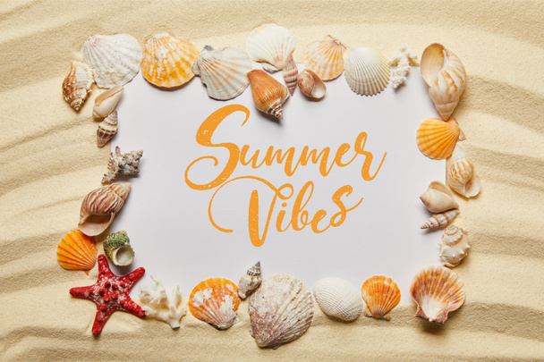 frame of seashells near placard with summer vibes illustration on sandy beach - Photo, Image
