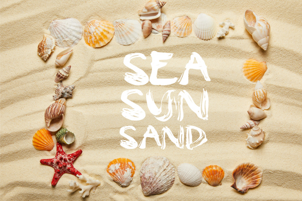 vue de dessus du cadre avec la mer, le soleil et le sable illustration, coquillages, étoiles de mer et coraux sur la plage de sable
 - Photo, image