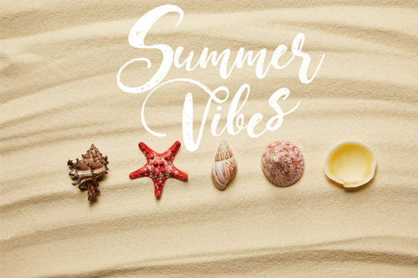flat lay of seashells and red starfish on sandy beach in summertime with summer vibes illustration - Fotoğraf, Görsel