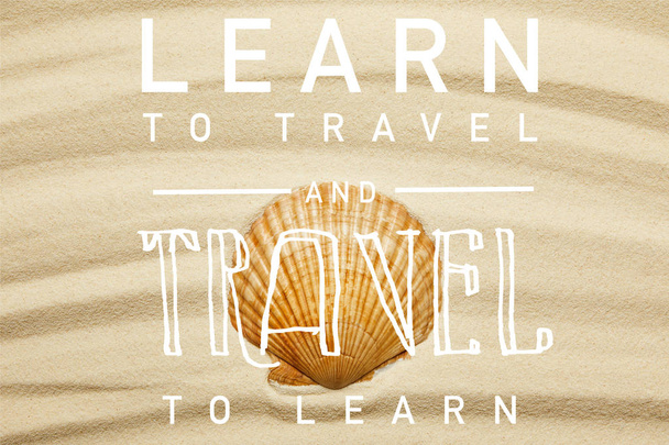concha de mar naranja en la playa de arena curva en verano con aprender a viajar y viajar para aprender ilustración
 - Foto, Imagen
