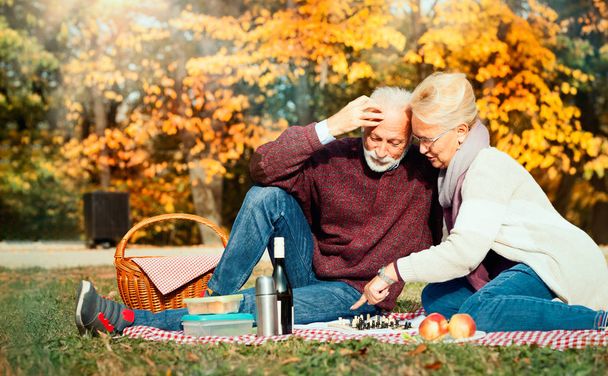 happy senior couple having a picnic - 写真・画像
