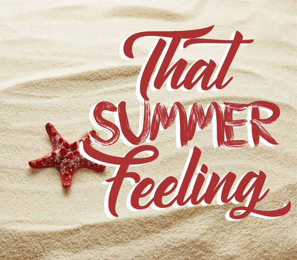 red starfish on sand with that summer feeling lettering - Zdjęcie, obraz