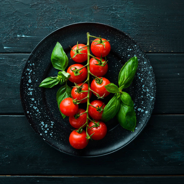 Cherry tomatoes and basil in the plate. Top view. Free space for your text. - Fotoğraf, Görsel