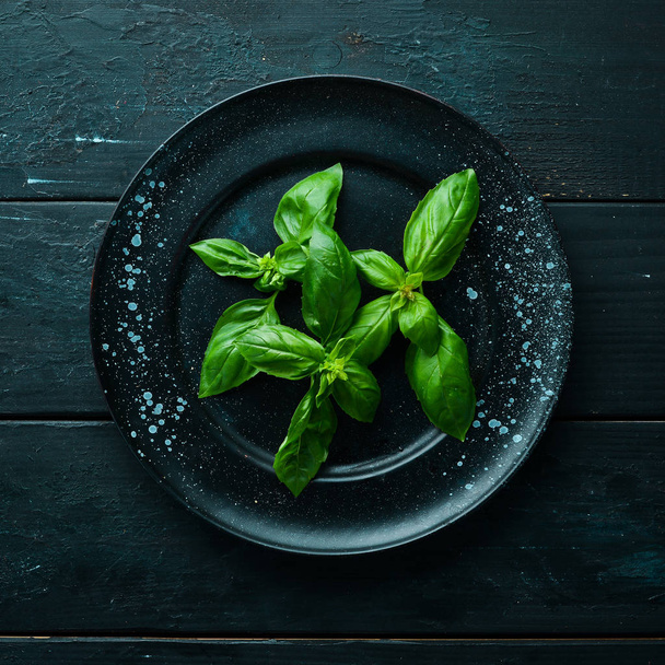 Fresh green basil. Top view. Free space for your text. - Fotó, kép