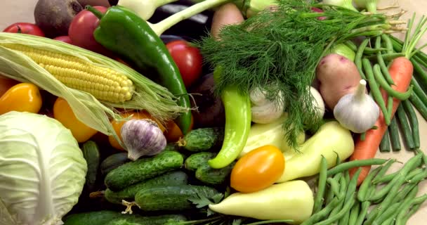 Antecedentes de hortalizas ecológicas sin OMG cultivadas sin plaguicidas en regiones ecológicamente limpias de Europa
. - Imágenes, Vídeo
