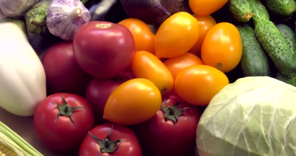 Background from organic vegetables without GMOs grown without pesticides in ecologically clean regions of Europe. - Footage, Video
