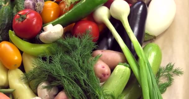 Hintergrund aus biologischem Gemüse ohne Gmos, das ohne Pestizide in ökologisch sauberen Regionen Europas angebaut wird. - Filmmaterial, Video