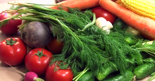 Tło z ekologicznych warzyw bez GMO uprawianych bez pestycydów w ekologicznie czystych regionach Europy. - Materiał filmowy, wideo