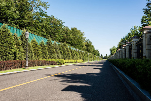 ombres sur la route près des arbres verts avec des feuilles et le ciel bleu en été
  - Photo, image