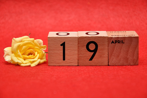 19 aprile su blocchi di legno con rosa gialla su fondo rosso
 - Foto, immagini