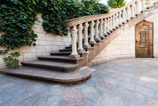 Bílé betonové schody u zelených a čerstvých listů na stěně  - Fotografie, Obrázek