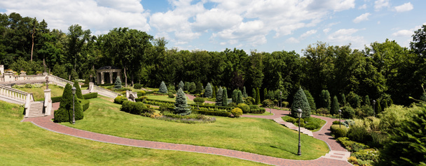 Panoramaaufnahme von Gehweg in der Nähe von grünem Gras und Bäumen im Park  - Foto, Bild